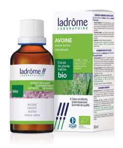 Avoine - extrait de plante fraîche BIO, 50 ml